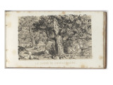 Album: Memories of Fontainebleau Said 