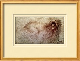 Buy Sketch of a Roaring Lion at AllPosters.com