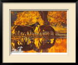 Buy Autumn'S Amber Glow at AllPosters.com