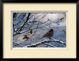 Buy Winter is Upon Us at AllPosters.com