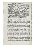 Doctor of Malice, Master Reynard. Rouen 1550. Monkeys