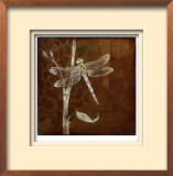 Wings & Damask VI