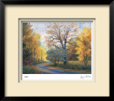 Autumn Road