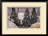 Buy Evergreen at AllPosters.com
