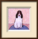 Patience - Springer Spaniel