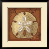 Buy Sand Dollar at AllPosters.com