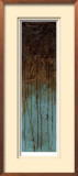 Oxidized Copper II