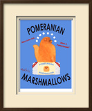 Pomeranian Marshmallows