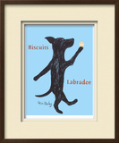 Biscuits Labrador