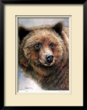 Buy Grizzly Bear at AllPosters.com