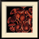 Buy Speichen at AllPosters.com