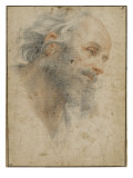 Buy Head of Bearded Man Seen Three-Quarters, Facing Right at AllPosters.com