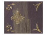 Chalice Veil Purple Lamé Instruments of the Passion