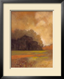 Buy Autumn Forest II at AllPosters.com