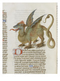 Liber Floridus by Lambert of Saint-Omer: Dragon Major