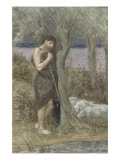 Buy Shepherd or Shepherd or the Storm Watching Her Sheep at AllPosters.com