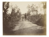 Three Men from Behind, Walking on a Path to Madron