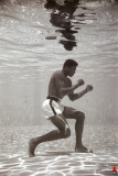 Buy Ali - Underwater at AllPosters.com