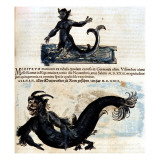 Buy Gesner, Manuscript "Historiae Animalium", Book Ii: "Quadrupedipus Oviparis" at AllPosters.com
