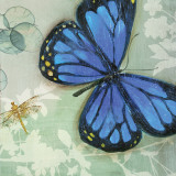 In Flight I