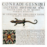 Gesner, Manuscript 