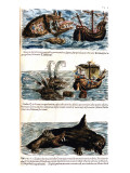 Buy Gesner, Manuscrit "Historiae Animalium", Book Ii: "Quadrupedipus Oviparis" at AllPosters.com