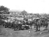 China, Caravan in Mugtzi