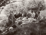 Family Picnic in the Countryside