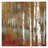 Buy Along the Path I at AllPosters.com