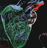 Human Heart, c.1979 (green) Art Print