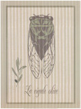 Cigale Olive