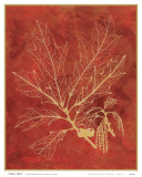 Buy Golden Oak I at AllPosters.com