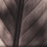Details