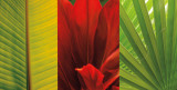 Buy Tropical Treasure II at AllPosters.com