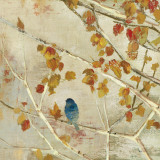 Singing II
