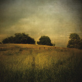 Another Place II