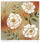 Buy Siena White Petite II at AllPosters.com