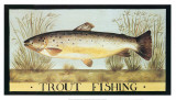Trout Fishing
