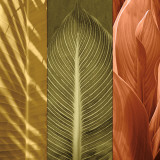 Tropical Trio II