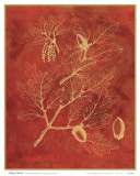 Buy Golden Oak II at AllPosters.com