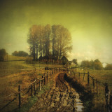 Another Place I