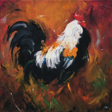 Rooster, no. 503