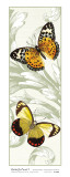 Buy Butterfly Panel I at AllPosters.com