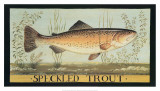 Speckled Trout