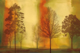 Sunset II