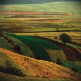 Buy Transylvania I at AllPosters.com