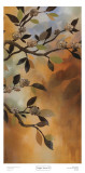 Buy Copper Sunset II at AllPosters.com