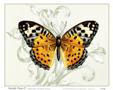 Buy Butterfly Theme IV at AllPosters.com