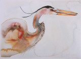 Buy Great Blue Heron at AllPosters.com