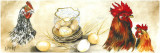 Buy Coqs et Oeufs at AllPosters.com